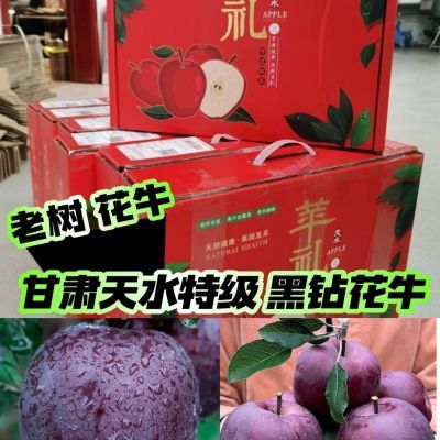 100%首先甘肃天水【老树黑钻】花牛苹果当季新鲜水果纯甜宝宝辅食优惠商品图片