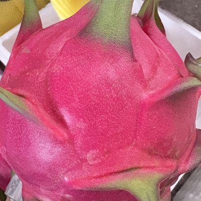广西隆安金都一号红心火龙果超甜应季新鲜当季水果红肉爆款粉红