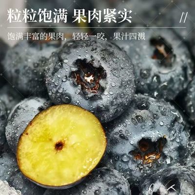 现摘新鲜蓝莓颗颗饱满蓝莓新鲜正宗云南高山露天花香蓝莓带盒