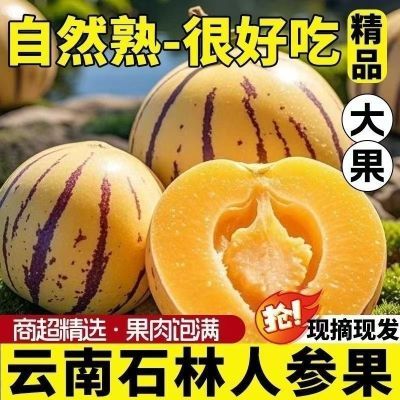 批发云南石林人参果大果黄心新鲜应季黄肉孕妇人生低糖水果