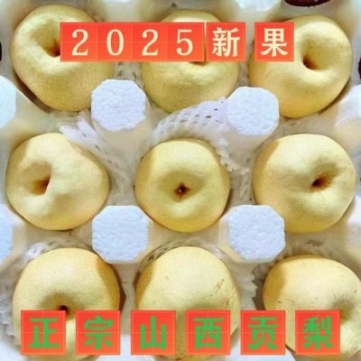 正宗贡梨雪梨梨山西薄皮贡梨薄多汁整箱新鲜脆甜应季特级梨子新鲜