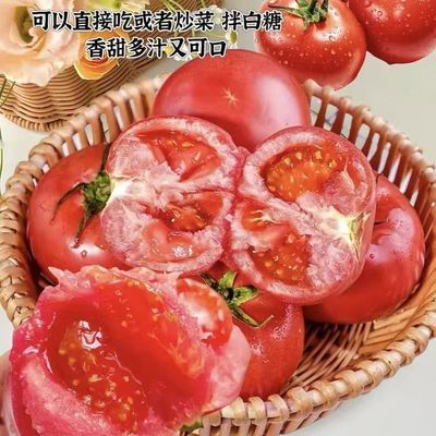 新鲜现摘老品种沙瓤番茄西红柿自然熟汁水丰富农家自种 带箱5斤