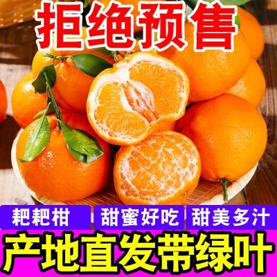 【店长补帖】四川丑橘耙耙柑正宗春见粑粑柑橘子新鲜应季水果桔子