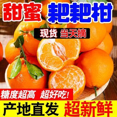【超甜】正宗高山耙耙柑丑八怪丑橘当季新鲜水果丑橘桔子薄皮橘子