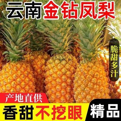 产地发】正宗金钻凤梨新鲜现摘云南应季水果孕妇手撕无眼大个菠萝