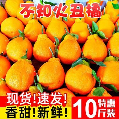【彩箱】现摘四川高山丑橘丑八怪当季新鲜水果耙耙柑超甜薄皮桔子