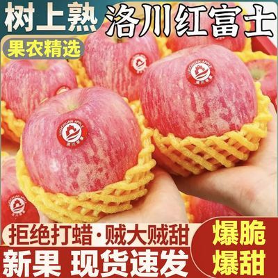 特级陕西洛川苹果脆甜正宗红富士苹果冰糖心新鲜苹果水果整箱批发