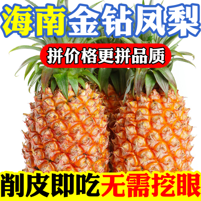 海南金钻凤梨爆甜多汁5斤现摘新鲜水果手撕无眼菠萝黑金凤梨菠萝
