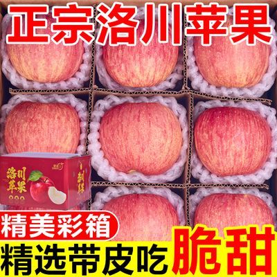 【彩箱礼盒】正宗陕西洛川苹果脆甜红富士新鲜苹果水果批发整箱
