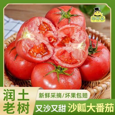 ���ڲ�����������ɭ��ɽ��ɳȿ�������������ʺ췬�ѵ����߲�3���� 13.9Ԫ