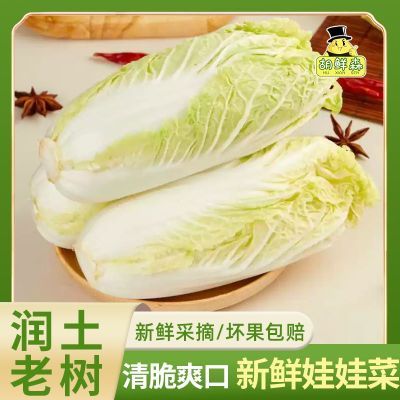 ���ڲ�����������ɭ���������޲����ʵ����߲˻��Ĵ��ۻ���̲�С�ײ�3���� 16.9Ԫ