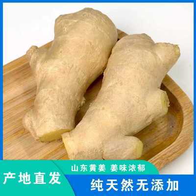 老农强推】山东黄姜水洗晒干生姜大姜块月子姜批发带箱