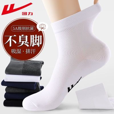 ���ڲ������������������п�����������˶����������ڷ�������͸��������Ͳ�� 15.79Ԫ