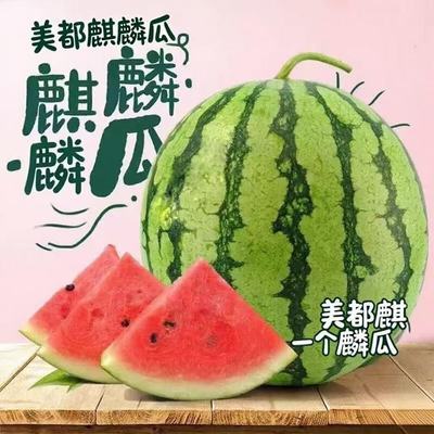 正宗8424麒麟美都麒麟瓜黑籽新鲜冰糖麒麟西瓜应季现摘薄皮批发