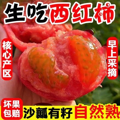 正宗云南露天西红柿自然熟生吃柿子普罗旺斯水果番茄新鲜蔬菜整箱