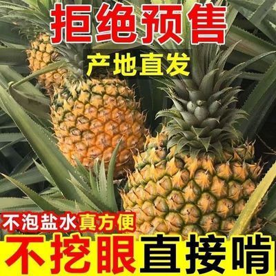 云南金钻凤梨新鲜水果当季整箱手撕无眼香水凤梨批发包邮