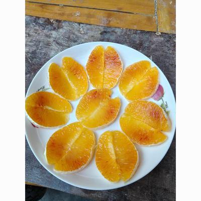 x正宗四川塔罗科血橙新鲜橙子水果当季手剥血橙香甜皮薄多汁