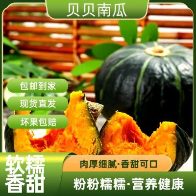 【贝贝南瓜】贝贝南瓜美女减脂宝宝辅食多多买菜