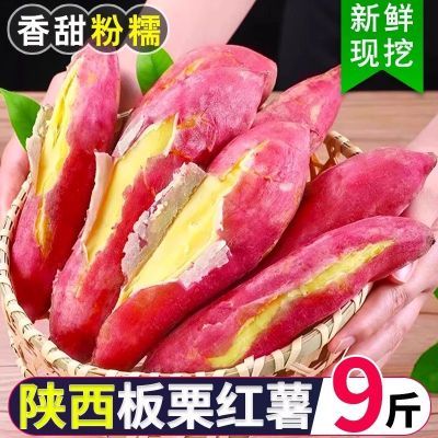 正宗陕西板栗薯新鲜红薯粉糯香甜干面沙地瓜山芋农家自种香薯地瓜