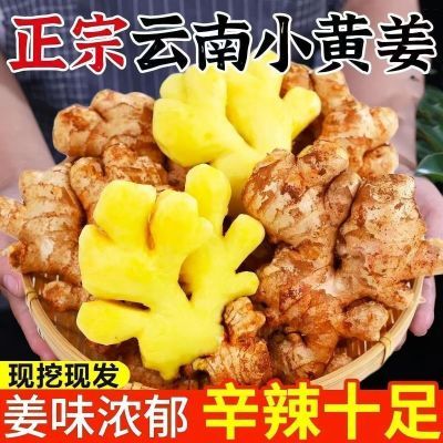 【正宗云南小黄姜】新鲜现挖小碎姜不坏山地种植香味浓郁辛辣爽口