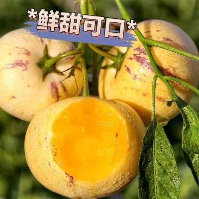 【自然熟黄果】云南黄肉人参果黄心圆果应季新鲜当季低糖正宗