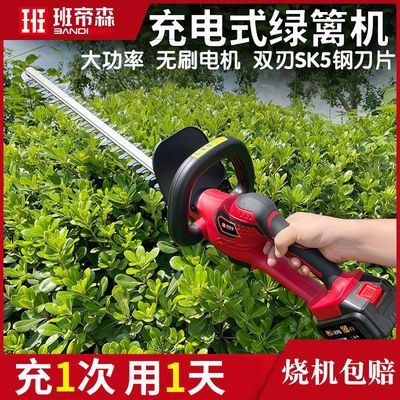 ���ڲ��������ɭ�綯������޼���԰����֦��﮵�ɲ�Ҷǿ������֦ר�ü��� 139Ԫ