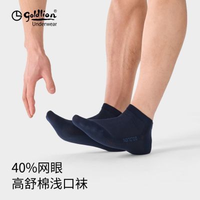 ���ڲ�������������ʿ��������͸��������ļ��������������Ͳ�п����� 56Ԫ