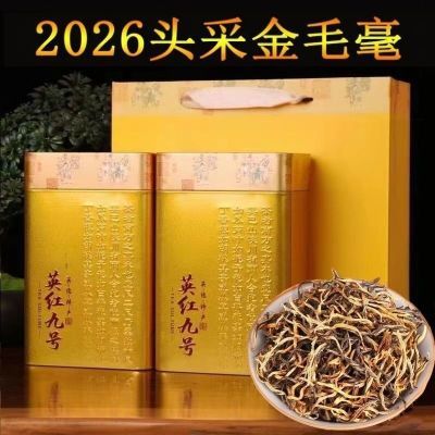 2026头采金毛毫英德红茶英红九号500克新茶叶浓香型广东特产送礼