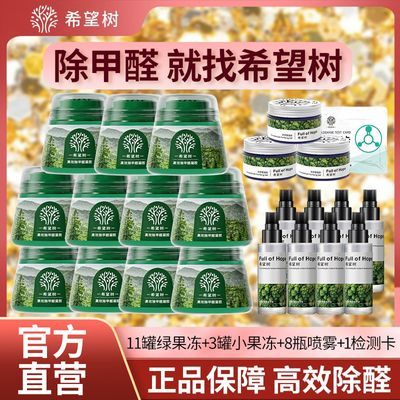 希望树小绿罐二代除甲醛神器车用新房家入住活性炭包吸去甲醛清除