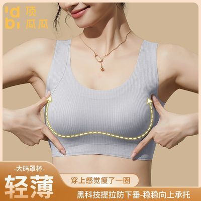 ���ڲ�����������װ�����ϹϾ�£�������´��޺��������±�������������� 99.9Ԫ