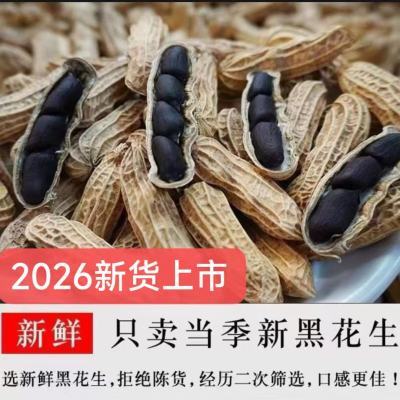 (云南稀有品种)2026年3月新货云南普洱黑花生新鲜晒干黑花生果