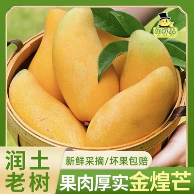 ���ڲ�����������ɭ������ ���Ͻ��â������Ӧ��ˮ���ȴ�����������3.5����7���ڷ����� 19.9Ԫ