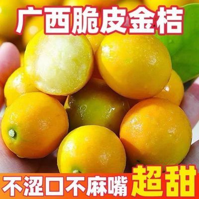 正宗纯甜广西二代脆皮小金桔新鲜现摘现发新鲜水果纯甜爆汁
