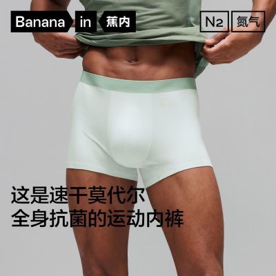 ���ڲ��������ڵ���500Dry��ʿ10A�����ٸ�Ī����ײɫƽ���ڿ�(3��װ) 143Ԫ