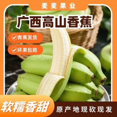 广西高山单根香蕉纯天然软糯香自然熟产地直发薄皮青皮香蕉3斤起