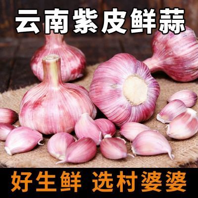 ���ڲ�����������2�����������������ʪ����Ƥ������������Ǵ���ͷר��4�� 7.9Ԫ