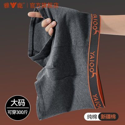 ���ڲ�������¹2026�����ӷʼӴ��봿�޿���ʿ�ڿ��������������ļ�ƽ�Ƕ̿� 43.9Ԫ