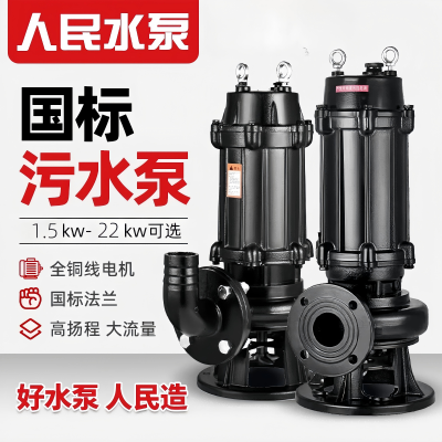 上海国标正品人民污水泵380V三相潜水排污泵单相220V家用潜水泵