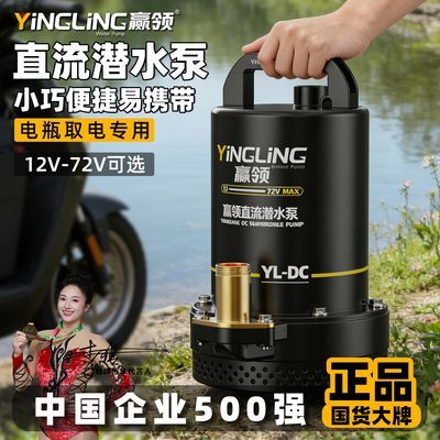 ���ڲ�����Ӯ��ֱ��Ǳˮ��12V24V48V60V72V��ƿ�綯��С�ͳ�ˮ��ͨ�ó�ˮ�� 85.3Ԫ