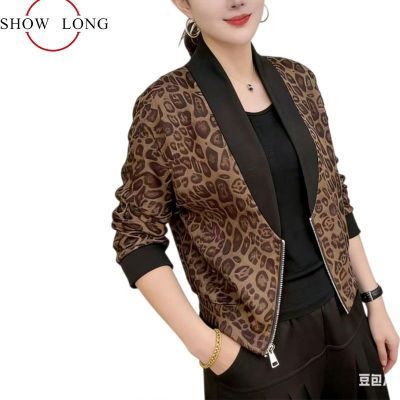 ���ڲ��������泱�����ʸ��ŷ籪������Ů��������MM�������⿪���������³� 69.8Ԫ
