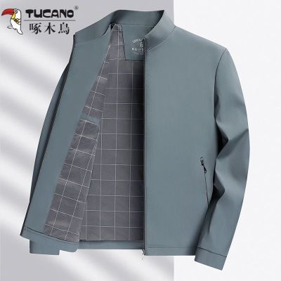 ���ڲ�������ľ������п���2025���＾�¿�����������ְִ�װ��ʿ�������� 121Ԫ