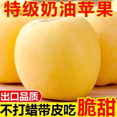 特级烟台黄金奶油苹果脆甜栖霞富士苹果应季新鲜苹果水果整箱批发