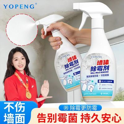 ���ڲ�����[YOPENG]ǽ���ù��ǽ���ש������ù�߾�÷�꼾��ù��ù�������� 18.7Ԫ