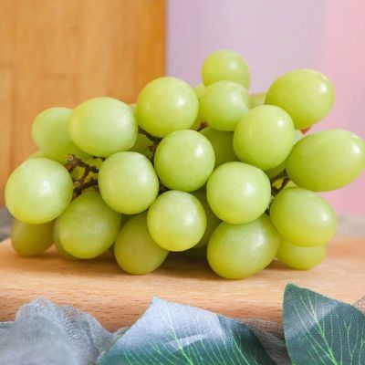 ���ڲ���������ѡ����³�������������1kgװ ����Ӧ��ˮ�� ˳����� 54.9Ԫ