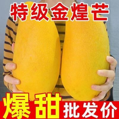 【爆甜】正宗越南金煌芒果新鲜当季水果青皮大芒果整箱批发甜薄皮