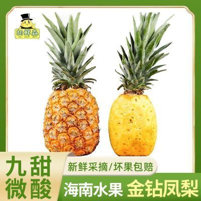 ���ڲ�����������ɭ�����Ͻ����������ˮ�����浱������3.5�ﵥ��1.4���� 15.7Ԫ