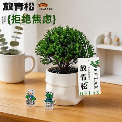 ���ڲ�������������ڡ�������ڿ����칫�����湤λ���������ֲ������ֲ�� 11.5Ԫ