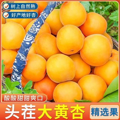 ���ڲ���������Ʒһ԰�������������ˮ����̫��������������������3����15���ڷ����� 36.2Ԫ