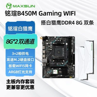 ���ڲ�����[���u]B450M GAMING WIFI D4��������ӥDDR4 16G(8G*2) 2666�ڴ� 1019Ԫ