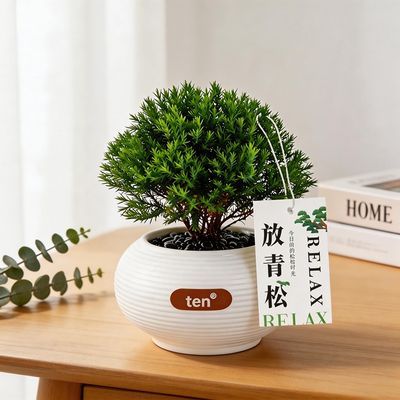 ���ڲ�������������ڡ�������ڿ����칫�����湤λ���������ֲ������ֲ�� 12.9Ԫ